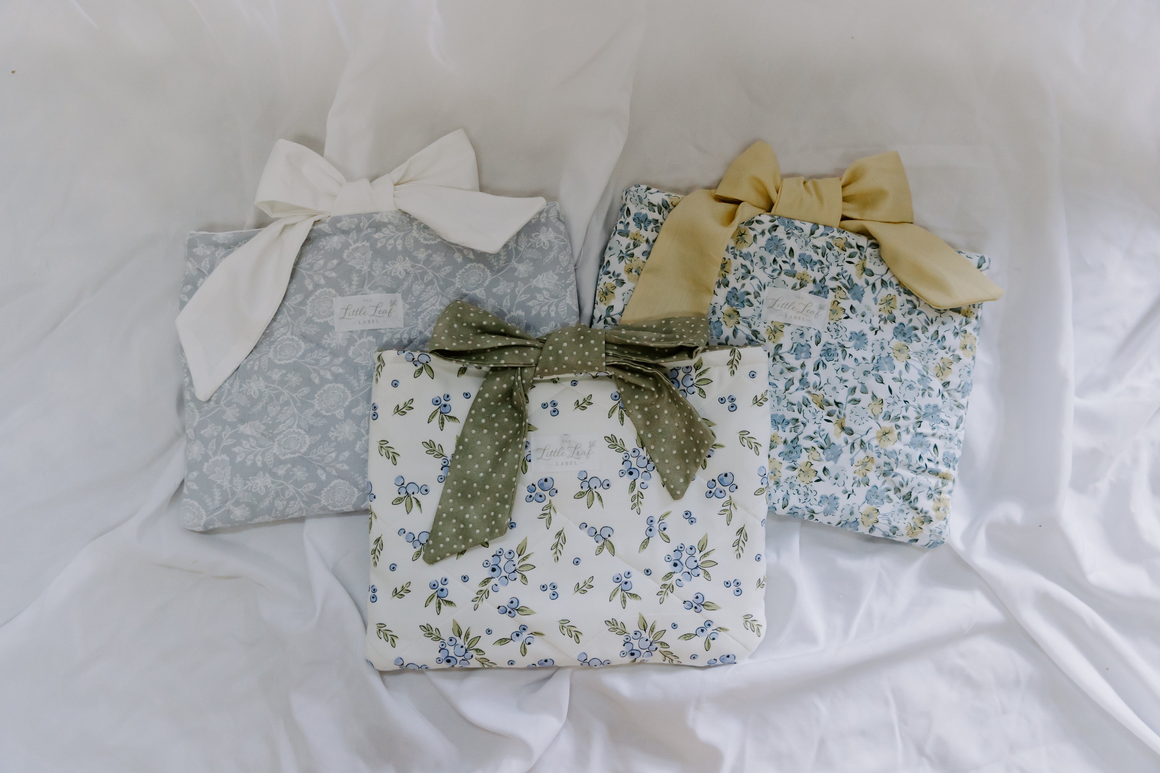 Blueberry Book Sleeve